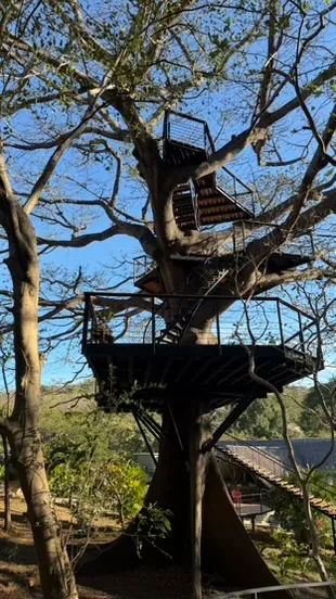 TreeCasa Hotel & Resort: A Treehouse Paradise in Nicaragua