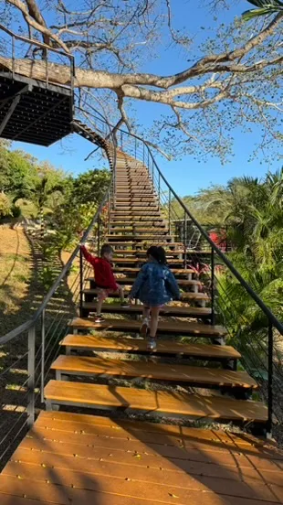Kids racing up the treehouse stairs at TreeCasa