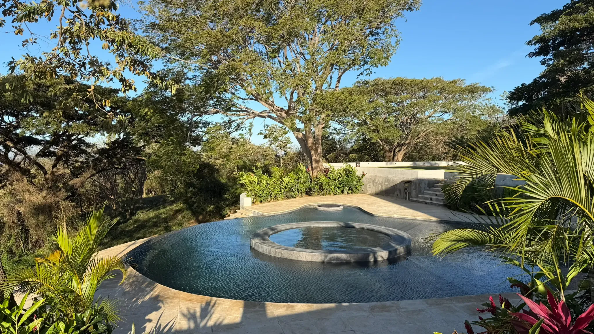 The infinity pool surrounded by lush tropical gardens