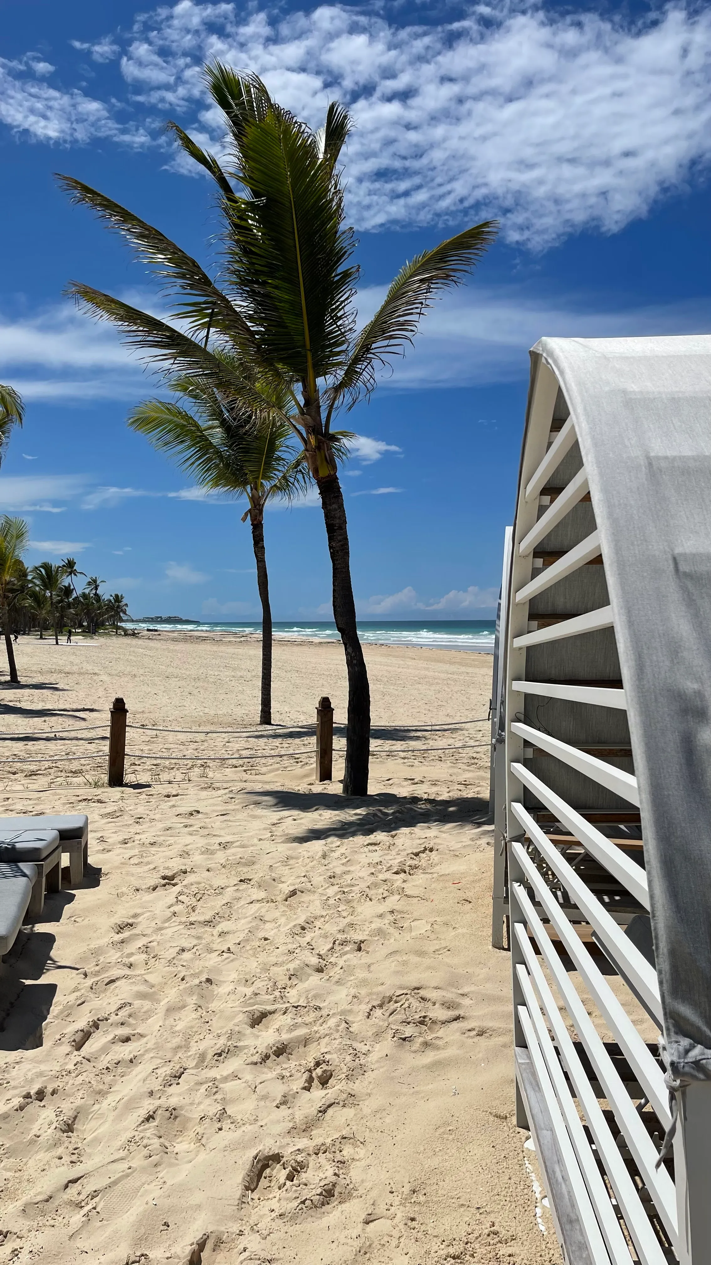 Beach with palm trees and private cabanas