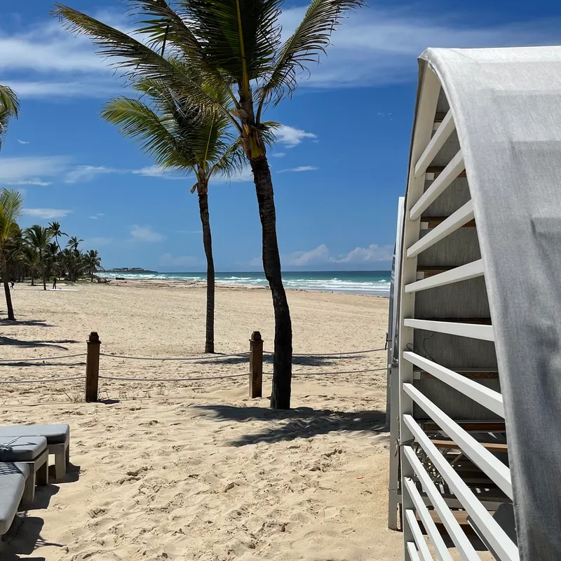 Beach with palm trees and private cabanas
