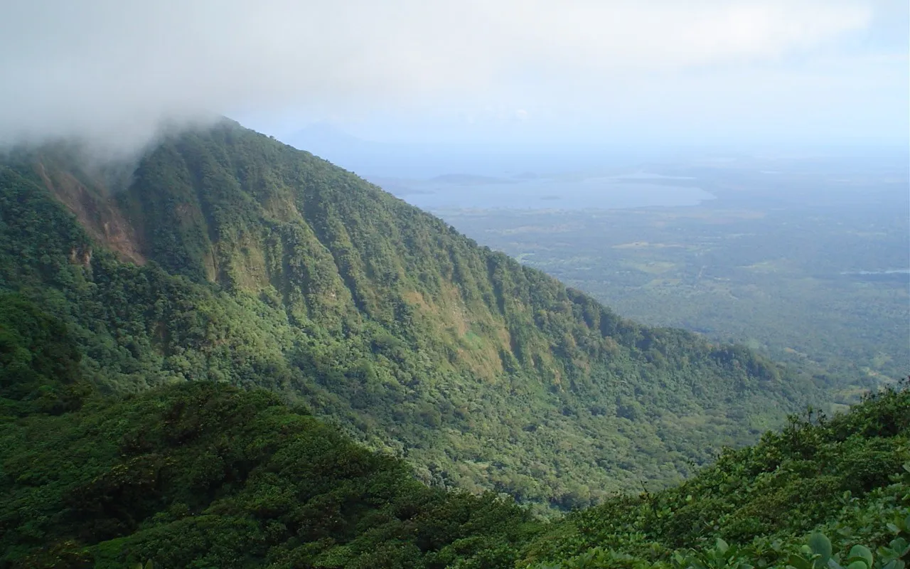 Nicaragua Rainforests: 5 Wild Forests, Wildlife and Where to Stay
