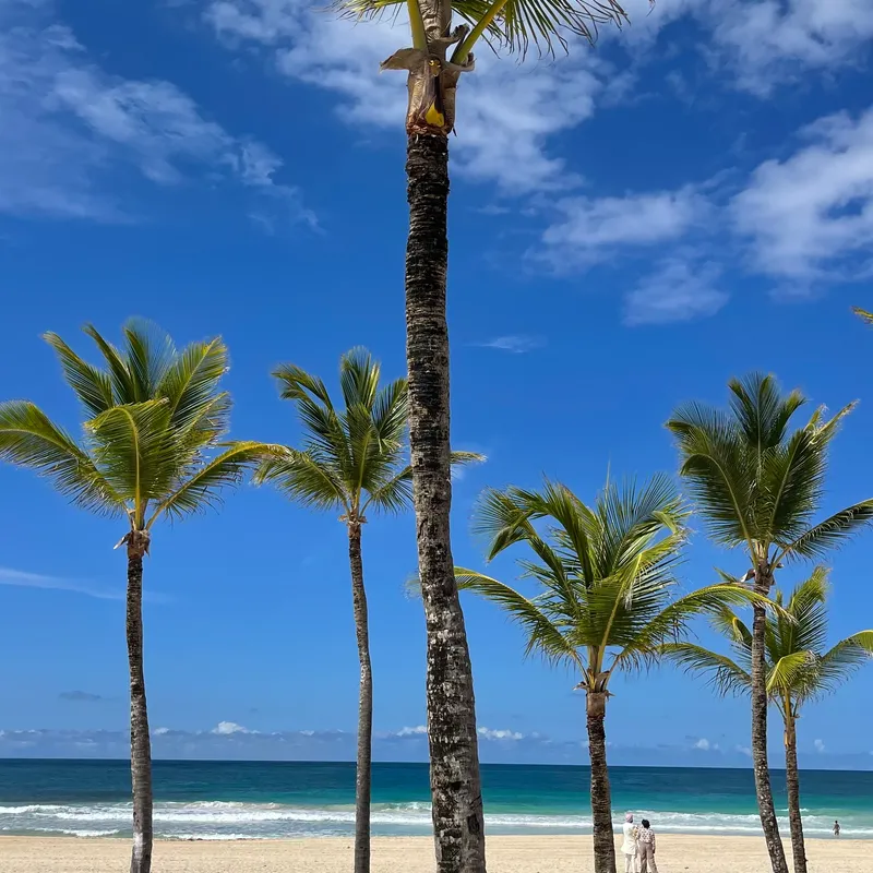 Dominican Republic